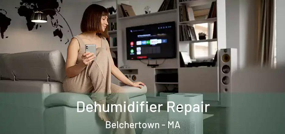 Dehumidifier Repair Belchertown - MA
