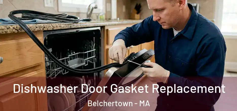 Dishwasher Door Gasket Replacement Belchertown - MA