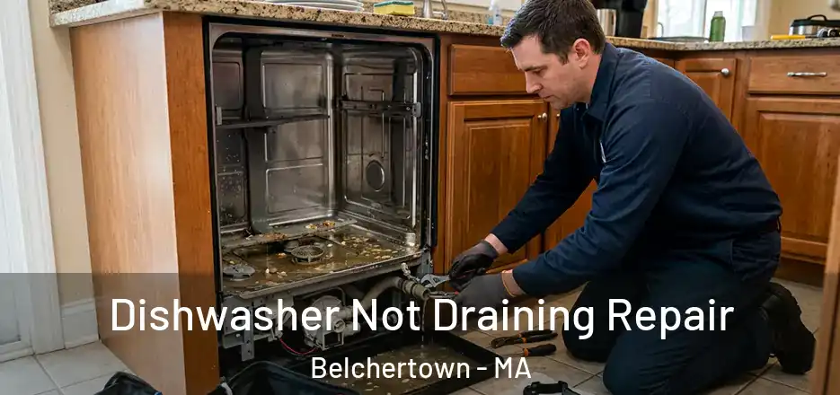 Dishwasher Not Draining Repair Belchertown - MA