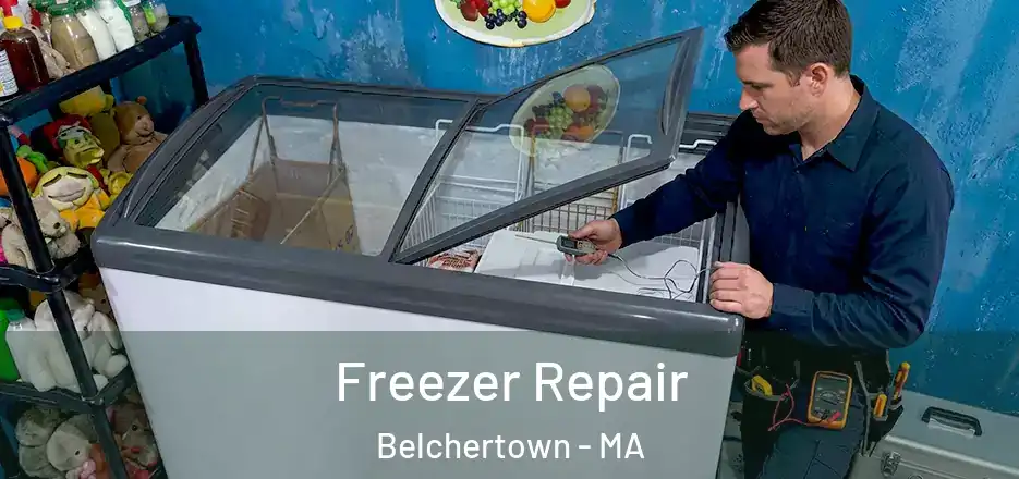Freezer Repair Belchertown - MA