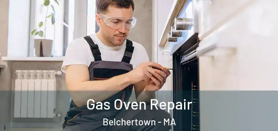  Gas Oven Repair Belchertown - MA