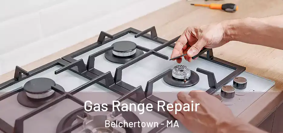 Gas Range Repair Belchertown - MA