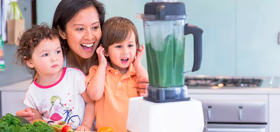 Juicer and Mixer Blender Repair in Belchertown