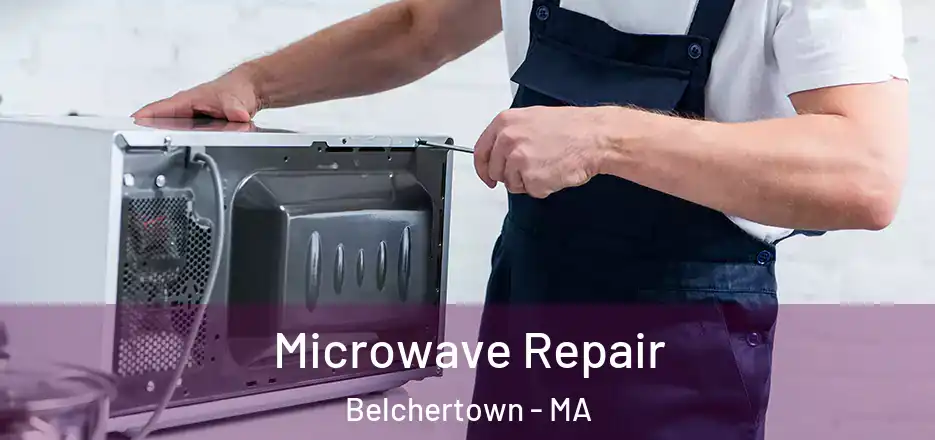 Microwave Repair Belchertown - MA