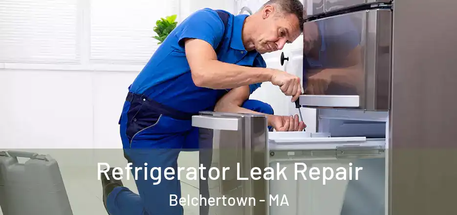  Refrigerator Leak Repair Belchertown - MA