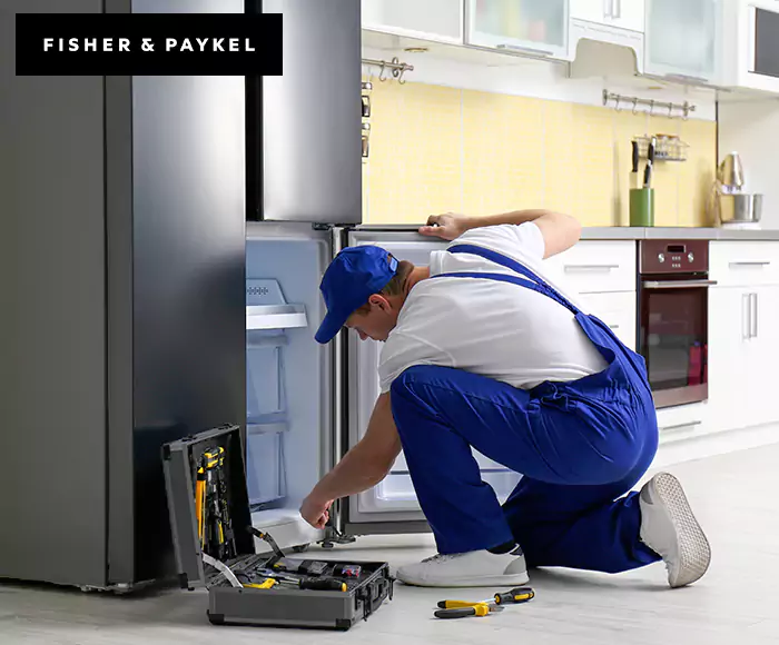 Top-Rated Fisher & Paykel Appliance Experts: Your Brand Specialist in Belchertown, MA